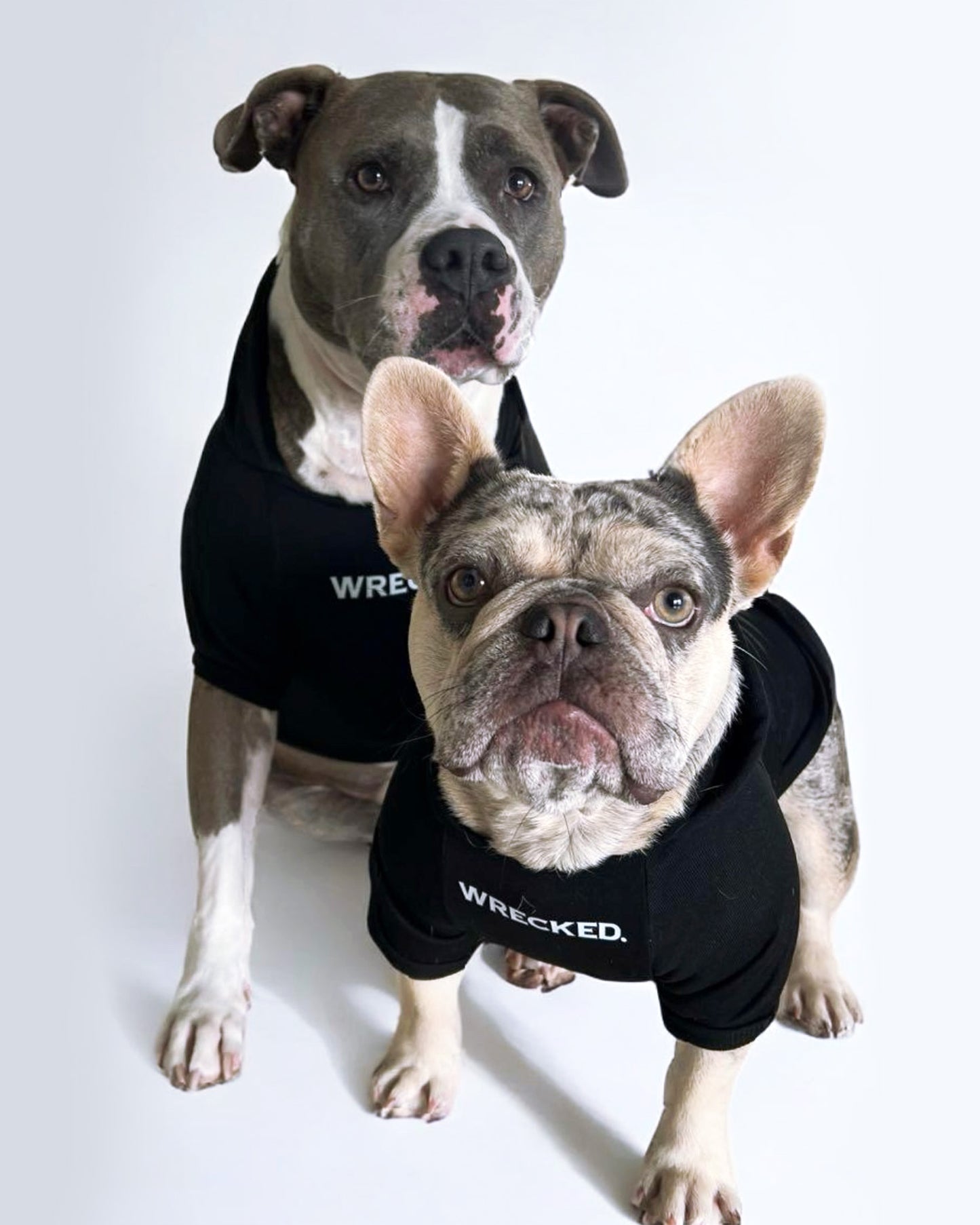 WRECKED. Dog Sweater